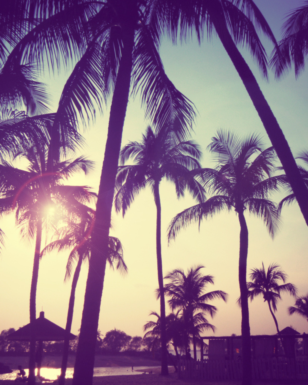 2026 é o novo 2016: o que isso nos diz sobre consumo?