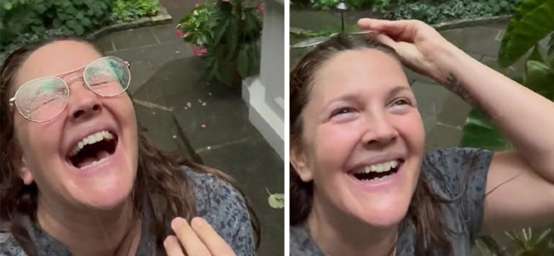 Memes da vez para você produzir com leveza